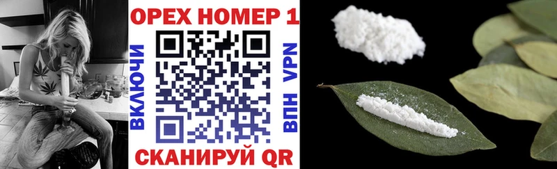 МЕГА как войти  Колпашево  Cocaine FishScale 