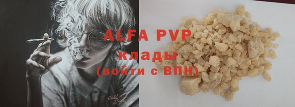 метадон Богданович