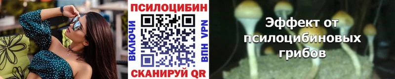 Галлюциногенные грибы мухоморы  Колпашево 